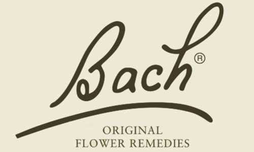 Bach pet products