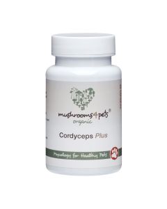 Mushrooms 4 Pets Organic Cordyceps Plus