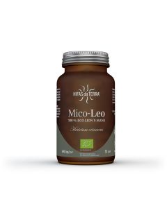 hifas-da-terra-mico-leo