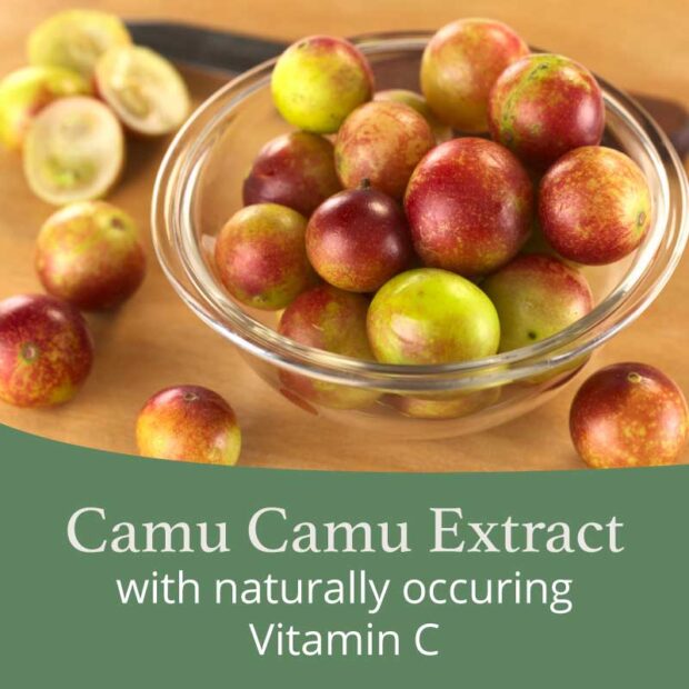 good-health-naturally-camu-camu-picture-of-apples