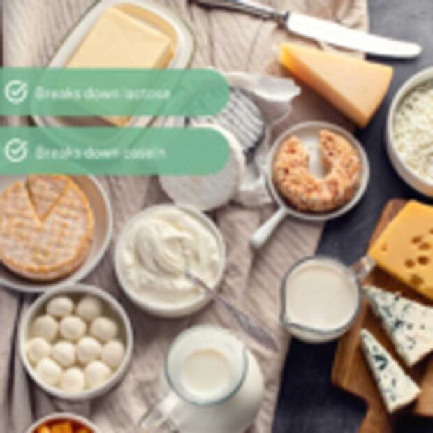 infographic-of-dairy-products