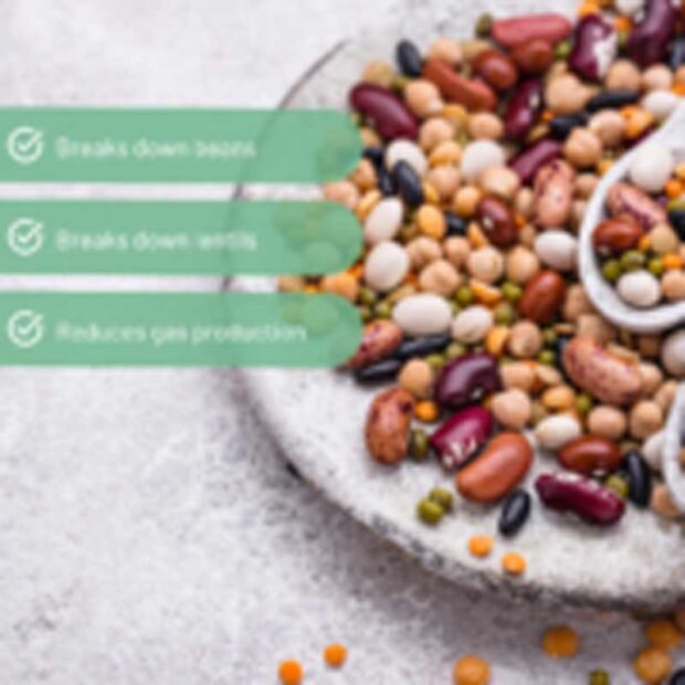 infographic-of-beans-and-pulses